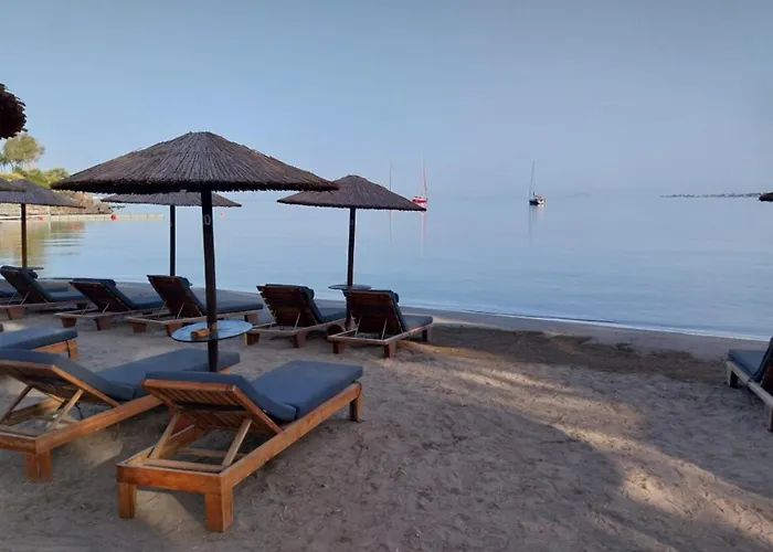 Serenity Villa Aegina Fantastic View Near The Beach